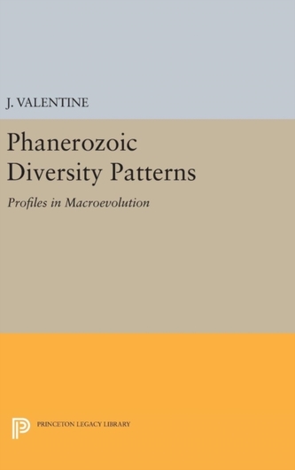 Phanerozoic Diversity Patterns