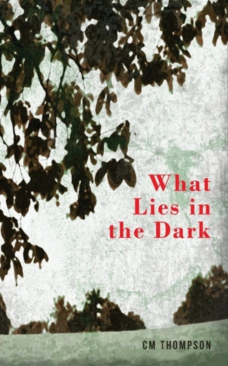 What Lies in the Dark