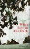 What Lies in the Dark