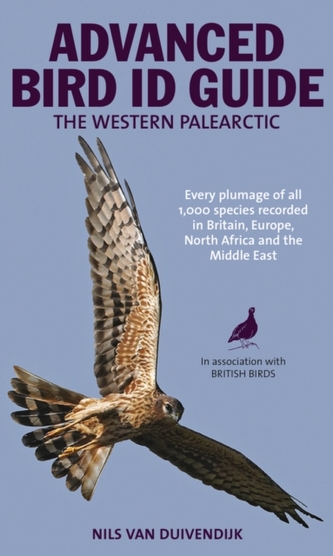 The Advanced Bird Guide