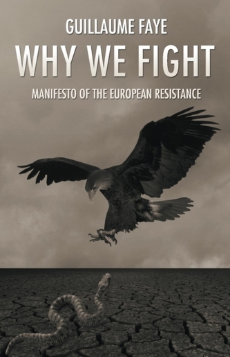 Why We Fight