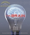Ponderables, The Brain