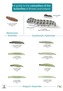 A Guide to Caterpillars of the Butterflies of Britain and Ireland