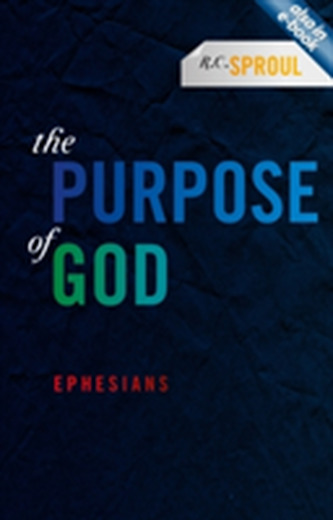 Purpose of God