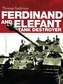 Ferdinand and Elefant Tank Destroyer