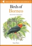 Birds of Borneo