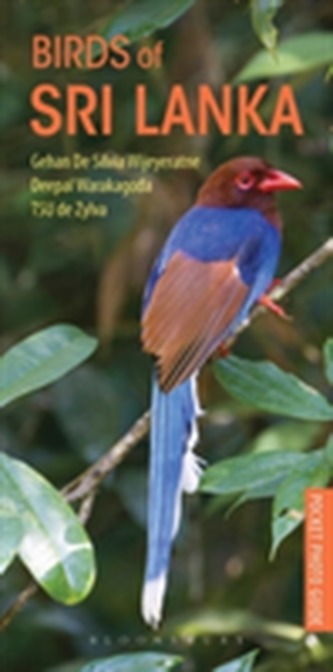 Birds of Sri Lanka