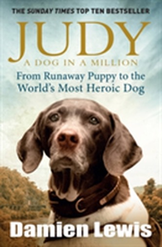 Judy: A Dog in a Million