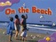 Oxford Reading Tree: Level 1+: More Fireflies A: On the Beach