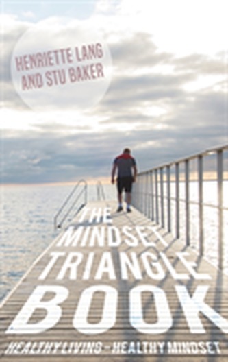 The Mindset Triangle Book