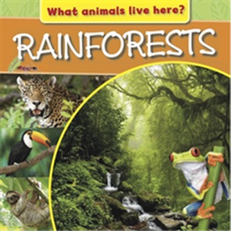 What Animals Live Here?: Rainforests