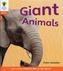 Oxford Reading Tree: Level 6: Floppy's Phonics Non-Fiction: Giant Animals