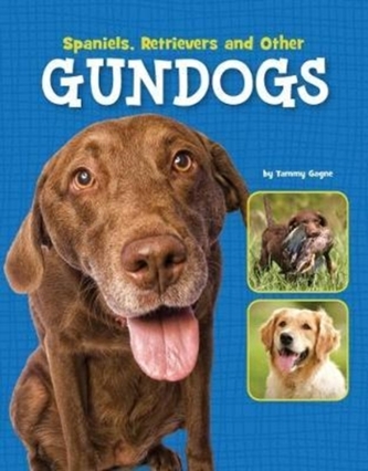Spaniels, Retrievers and Other Gundogs