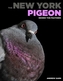 The New York Pigeon