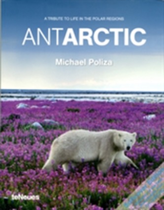 Michael Poliza Antarctic
