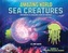 Amazing World Sea Creatures