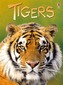 Beginners Tigers