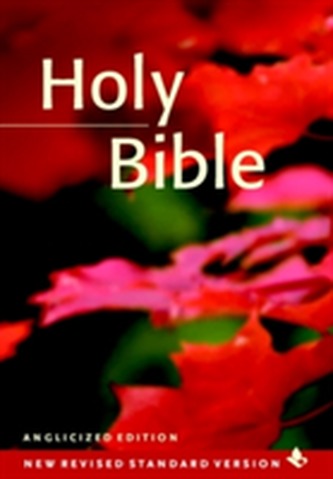 NRSV Popular Text Edition NR530:T