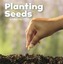 Planting Seeds