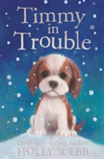 Timmy in Trouble