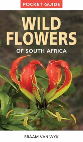 Pocket guide: Wild flowers of South Africa