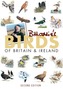 Bill Oddie's Birds of Britain and Ireland