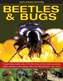 Exploring Nature: Beetles & Bugs