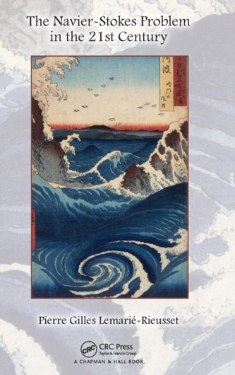 The Navier-Stokes Problem in the 21st Century