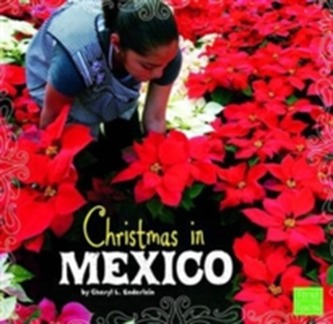 Christmas in Mexico