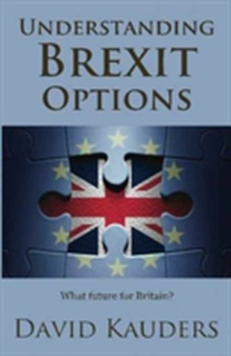 Understanding Brexit Options