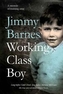 Working Class Boy