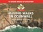 A Boot Up Mining Walks in Cornwall & West Devon
