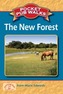 Pocket Pub Walks The New Forest