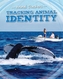 Tracking Animal Identity