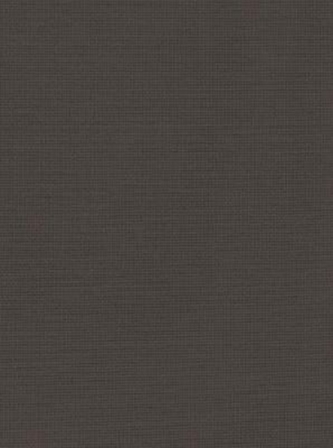 ESV Gospel of John, Reader's Edition