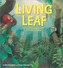 Plant Life: Living Leaf