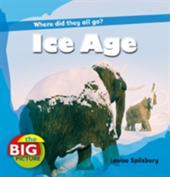 Ice Age