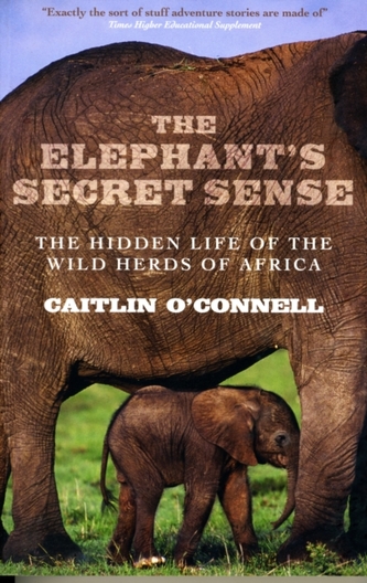 The Elephant's Secret Sense