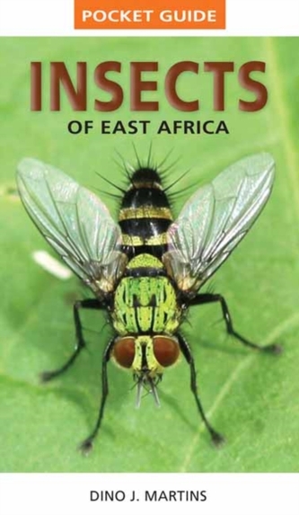 Insects of East Africa
