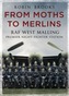 From Moths to Merlins