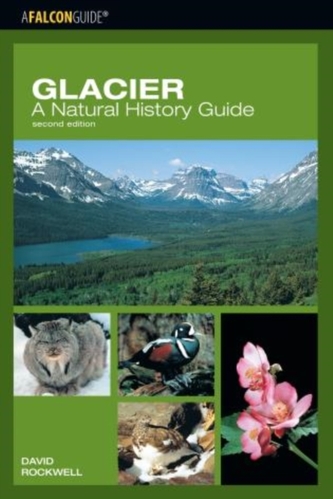 Glacier: A Natural History Guide