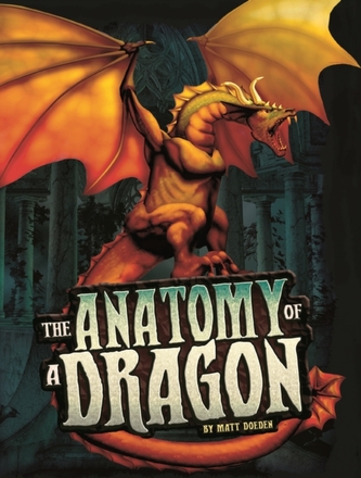 The Anatomy of a Dragon