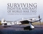 Surviving Fighter Aircraft WW2