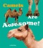 Camels Are Awesome!