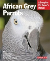 African Grey Parrots