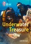 Underwater Treasure