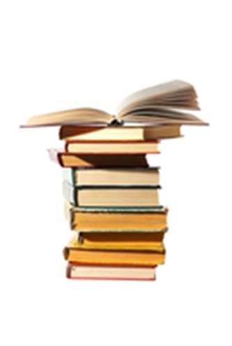 Disclosure and Due Diligence in the International Capital Markets