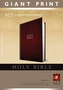 Giant Print Bible-NLT