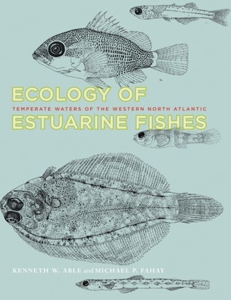 Ecology of Estuarine Fishes