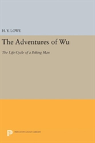 The Adventures of Wu